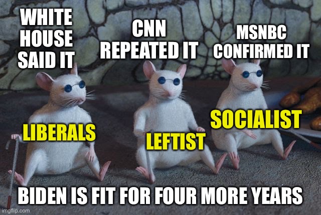 The end of democracy. | MSNBC CONFIRMED IT; WHITE HOUSE SAID IT; CNN REPEATED IT; SOCIALIST; LIBERALS; LEFTIST; BIDEN IS FIT FOR FOUR MORE YEARS | image tagged in three blind mice | made w/ Imgflip meme maker