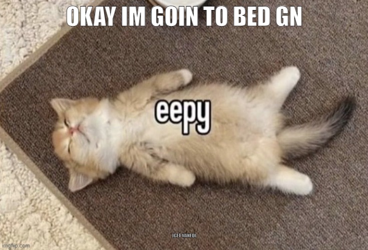eepy | OKAY IM GOIN TO BED GN; (GET NAKED) | image tagged in eepy | made w/ Imgflip meme maker