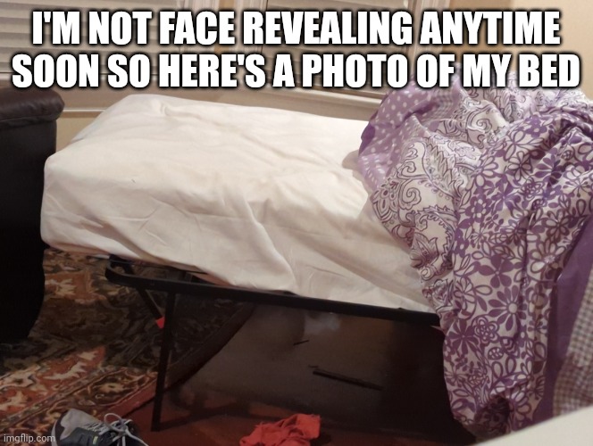 Bruh | I'M NOT FACE REVEALING ANYTIME SOON SO HERE'S A PHOTO OF MY BED | image tagged in bruh | made w/ Imgflip meme maker