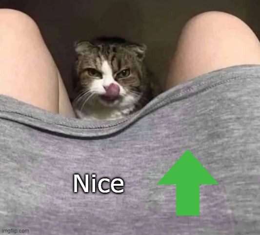 Nice | made w/ Imgflip meme maker