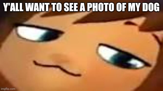 I might show him keyword might | Y'ALL WANT TO SEE A PHOTO OF MY DOG | image tagged in smug hat kid mp4 | made w/ Imgflip meme maker