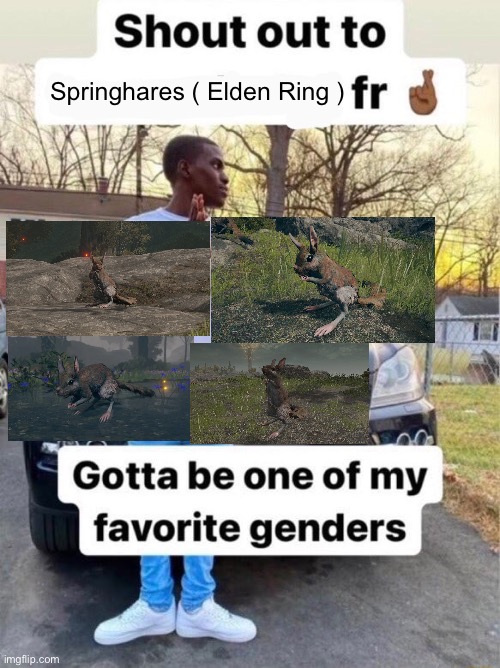 Shout out to.... Gotta be one of my favorite genders | Springhares ( Elden Ring ) | image tagged in shout out to gotta be one of my favorite genders,memes,elden ring,shitpost,funny memes,lol | made w/ Imgflip meme maker