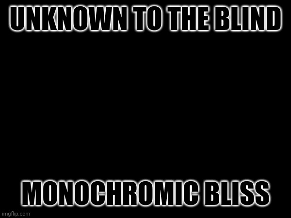 E M B R A C E MONOCHROMALITY | UNKNOWN TO THE BLIND; MONOCHROMIC BLISS | image tagged in stupidity,incomprehensible | made w/ Imgflip meme maker