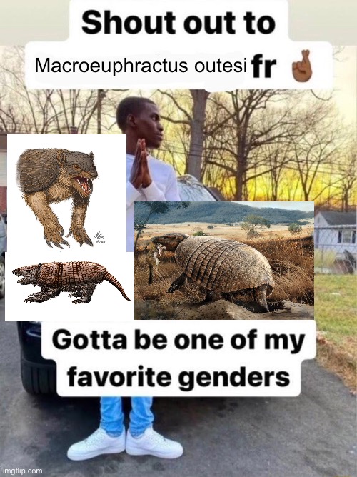 Shout out to.... Gotta be one of my favorite genders | Macroeuphractus outesi | image tagged in shout out to gotta be one of my favorite genders,memes,animal meme,shitpost,funny memes,history memes | made w/ Imgflip meme maker