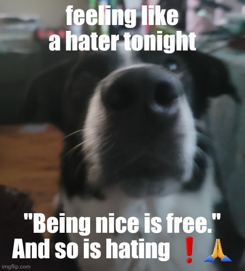 tweaks dock | feeling like a hater tonight; "Being nice is free." And so is hating ❗️🙏 | image tagged in tweaks dock | made w/ Imgflip meme maker