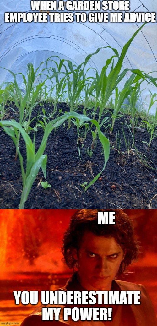 WHEN A GARDEN STORE EMPLOYEE TRIES TO GIVE ME ADVICE; ME; YOU UNDERESTIMATE MY POWER! | image tagged in memes,you underestimate my power | made w/ Imgflip meme maker