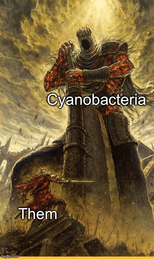 Fantasy Painting | Cyanobacteria Them | image tagged in fantasy painting | made w/ Imgflip meme maker