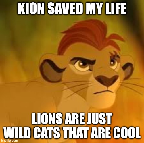 Kion | KION SAVED MY LIFE; LIONS ARE JUST WILD CATS THAT ARE COOL | image tagged in why foxy 501 killed wrinkles and quackers before i go home | made w/ Imgflip meme maker