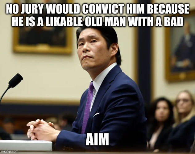 Robert Hur testifying before Congress | NO JURY WOULD CONVICT HIM BECAUSE HE IS A LIKABLE OLD MAN WITH A BAD AIM | image tagged in robert hur testifying before congress | made w/ Imgflip meme maker