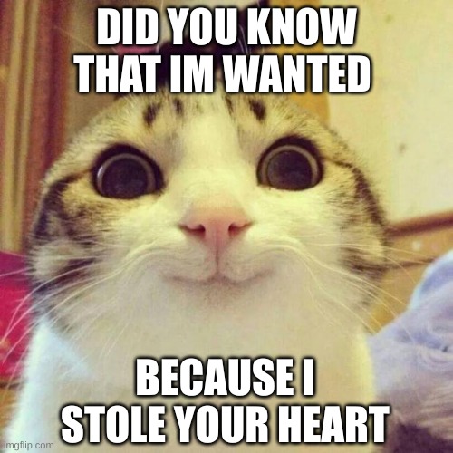 Smiling Cat Meme | DID YOU KNOW THAT IM WANTED; BECAUSE I STOLE YOUR HEART | image tagged in memes,smiling cat | made w/ Imgflip meme maker