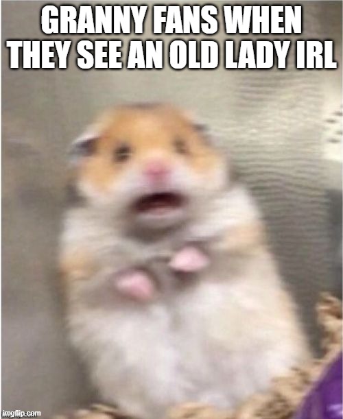 Anyone remember Granny? | GRANNY FANS WHEN THEY SEE AN OLD LADY IRL | image tagged in scared hamster,memes,gaming,granny,horror,games | made w/ Imgflip meme maker