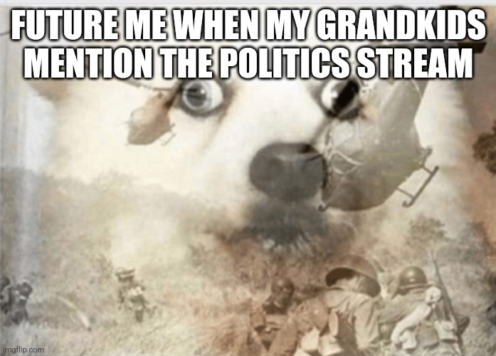 PTSD dog | FUTURE ME WHEN MY GRANDKIDS MENTION THE POLITICS STREAM | image tagged in ptsd dog | made w/ Imgflip meme maker