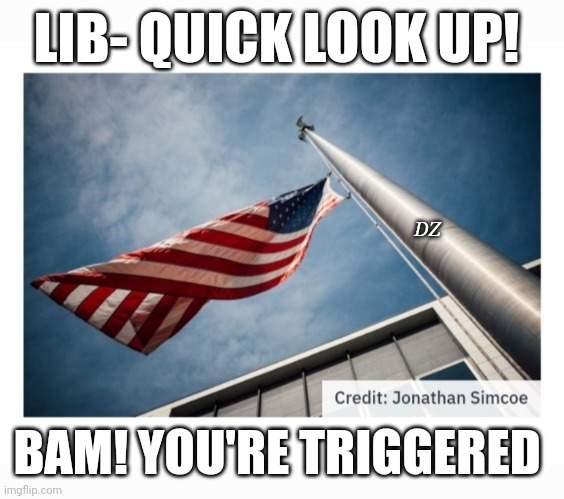 Have You Triggered A Libtard Today? | LIB- QUICK LOOK UP! DZ; BAM! YOU'RE TRIGGERED | image tagged in triggered liberal,dumbasses,losers,stupid liberals,vote,republican party | made w/ Imgflip meme maker