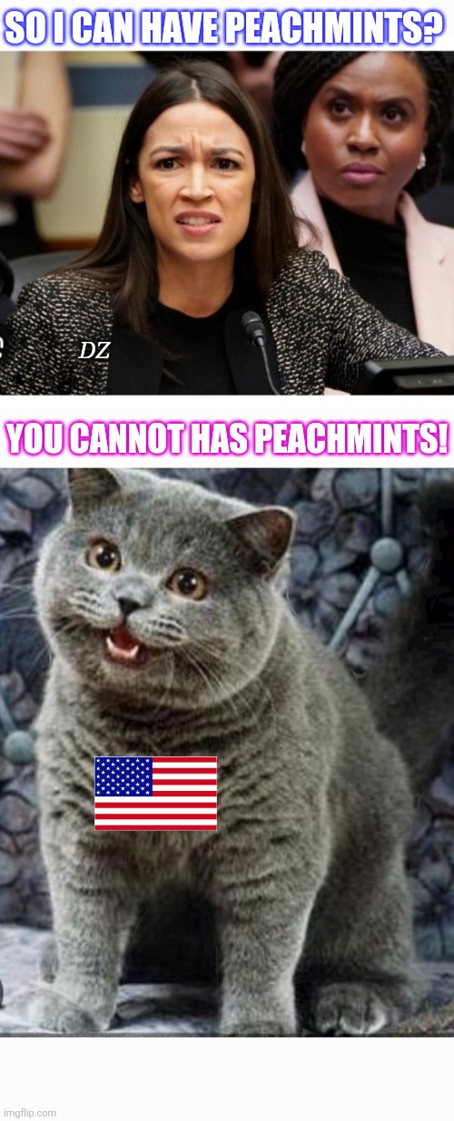 SCOTUS BAD,  AOC MAD | SO I CAN HAVE PEACHMINTS? DZ; YOU CANNOT HAS PEACHMINTS! | image tagged in libtard,morons,finished,voting,republican party,president trump | made w/ Imgflip meme maker