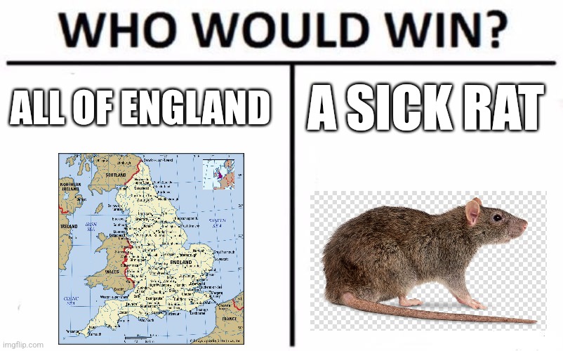 Who Would Win? | ALL OF ENGLAND; A SICK RAT | image tagged in memes,who would win | made w/ Imgflip meme maker