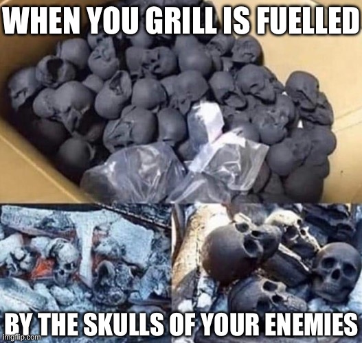 Skulls | WHEN YOU GRILL IS FUELLED; BY THE SKULLS OF YOUR ENEMIES | image tagged in skulls,grill,enemies | made w/ Imgflip meme maker