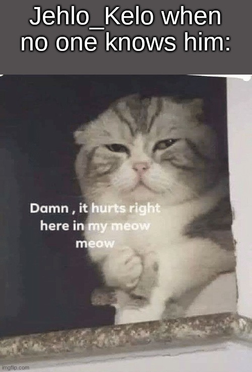 damn it hurts right here in my meow meow | Jehlo_Kelo when no one knows him: | image tagged in damn it hurts right here in my meow meow | made w/ Imgflip meme maker