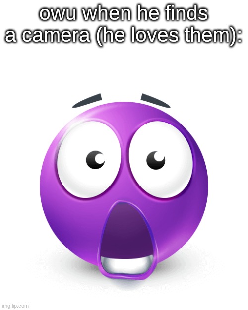 shocked purple emoji | owu when he finds a camera (he loves them): | image tagged in shocked purple emoji | made w/ Imgflip meme maker