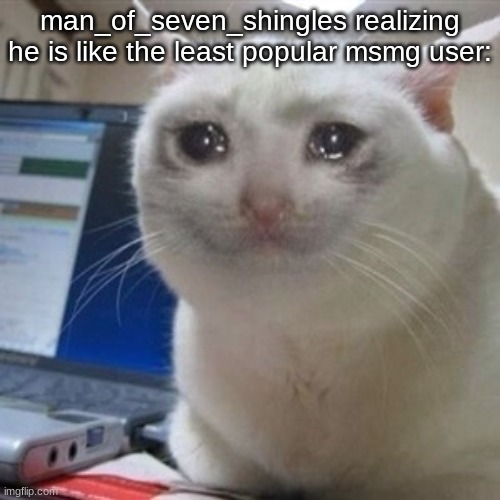 Crying cat | man_of_seven_shingles realizing he is like the least popular msmg user: | image tagged in crying cat | made w/ Imgflip meme maker