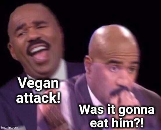 Steve Harvey Laughing Serious | Vegan
attack! Was it gonna
eat him?! | image tagged in steve harvey laughing serious | made w/ Imgflip meme maker