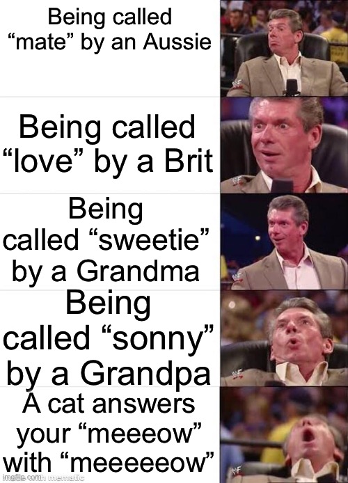 Meeeeooow | Being called “mate” by an Aussie; Being called “love” by a Brit; Being called “sweetie” by a Grandma; Being called “sonny” by a Grandpa; A cat answers your “meeeow” with “meeeeeow” | image tagged in vince mcmahon 5 panel,aussie,british,grandma,grandpa,cat | made w/ Imgflip meme maker