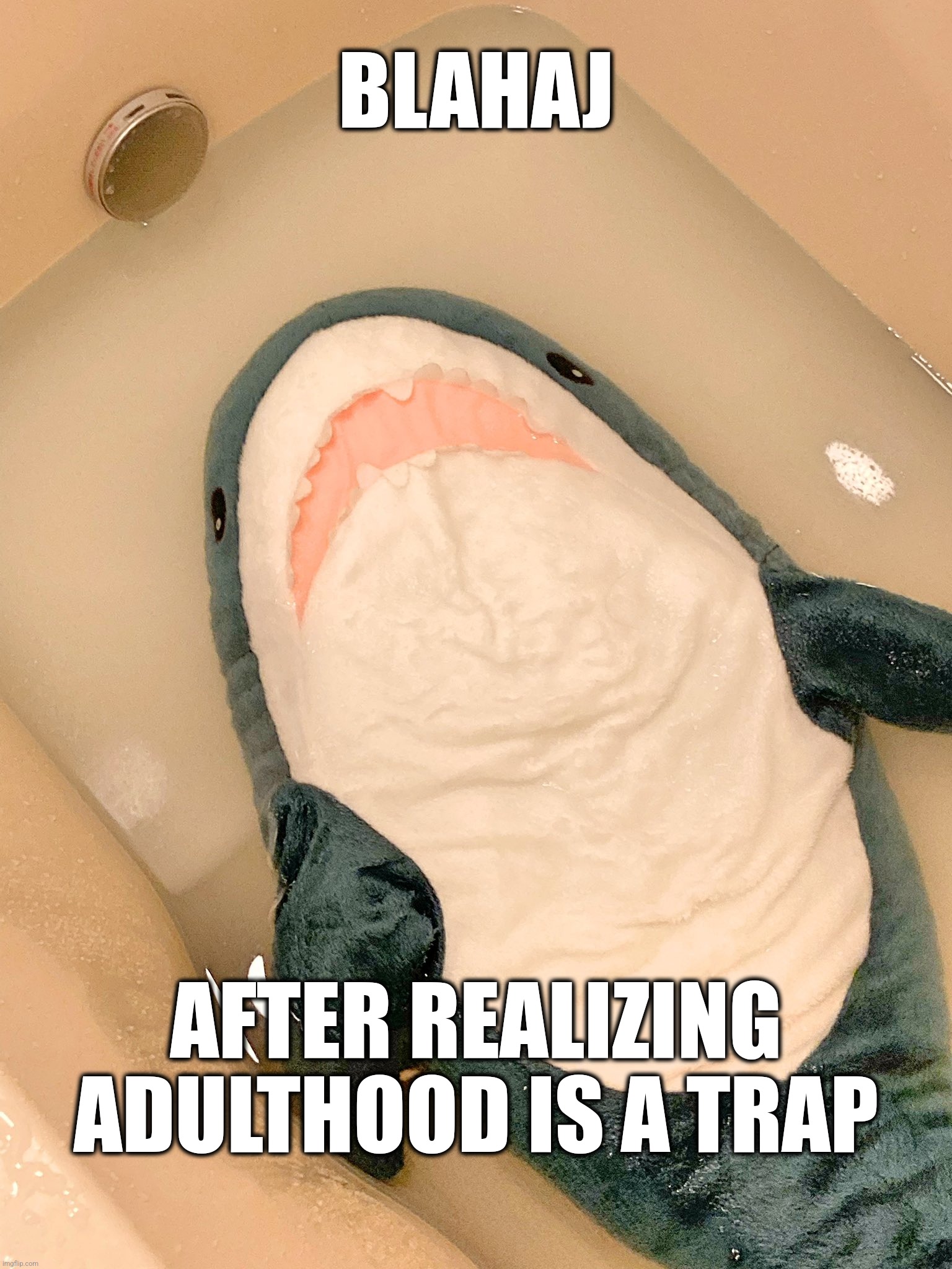 Realization | BLAHAJ; AFTER REALIZING ADULTHOOD IS A TRAP | image tagged in realization | made w/ Imgflip meme maker