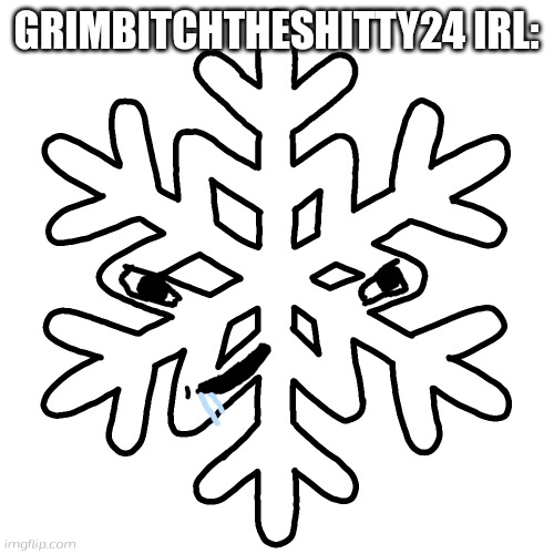 Brainlet snowflake | GRIMBITCHTHESHITTY24 IRL: | image tagged in brainlet snowflake | made w/ Imgflip meme maker