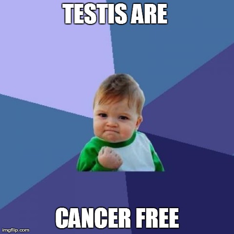 Success Kid Meme | TESTIS ARE  CANCER FREE | image tagged in memes,success kid,AdviceAnimals | made w/ Imgflip meme maker