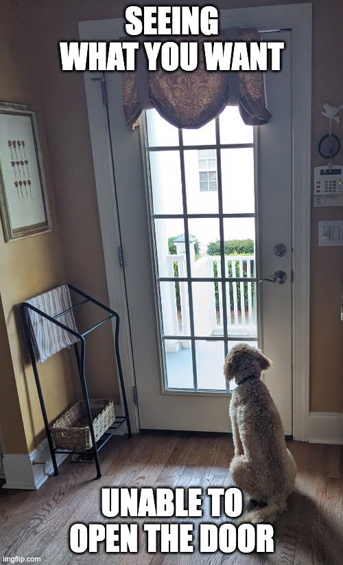 SEEING WHAT YOU WANT; UNABLE TO OPEN THE DOOR | image tagged in dog,waiting,sunny,alone | made w/ Imgflip meme maker