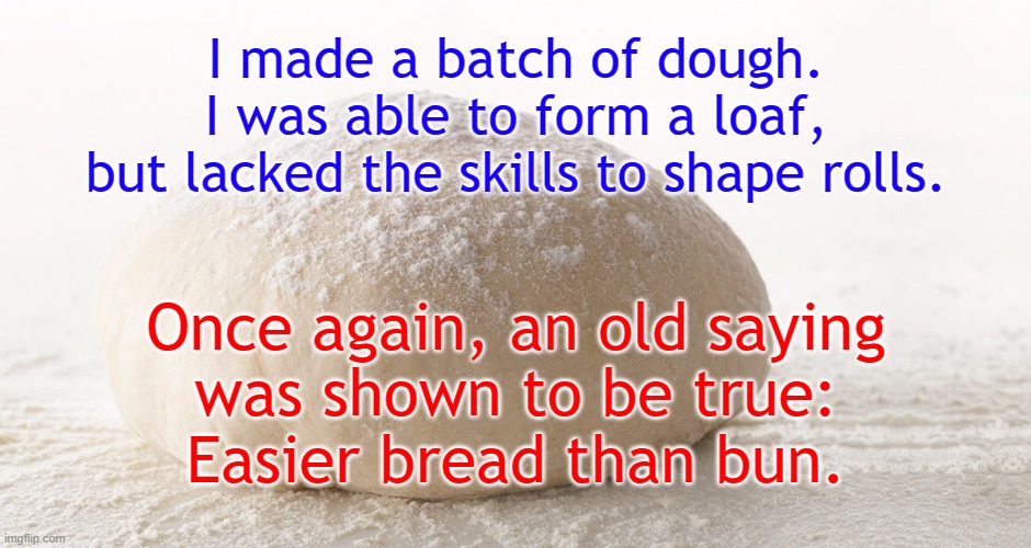 pizza dough | I made a batch of dough.
I was able to form a loaf,
but lacked the skills to shape rolls. Once again, an old saying
was shown to be true:
Easier bread than bun. | image tagged in pizza dough | made w/ Imgflip meme maker