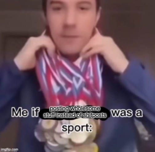 Instead of posting the most random thing you find, post wholesome things! | posting wholesome stuff instead of shitposts | image tagged in me if blank was a sport,wholesome | made w/ Imgflip meme maker