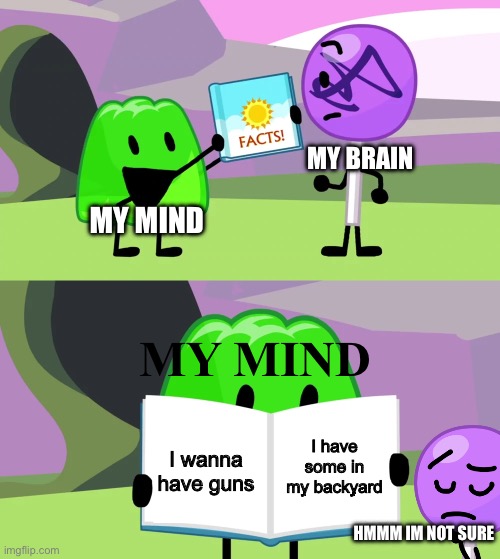 Gelatin's book of facts | MY BRAIN; MY MIND; MY MIND; I have some in my backyard; I wanna have guns; HMMM IM NOT SURE | image tagged in gelatin's book of facts | made w/ Imgflip meme maker