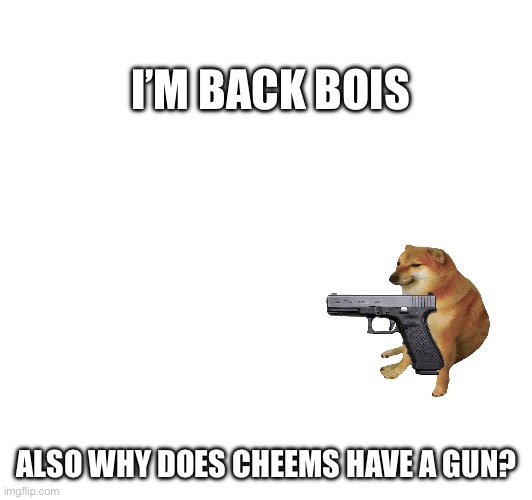 Why does cheems have a tag | I’M BACK BOIS; ALSO WHY DOES CHEEMS HAVE A GUN? | image tagged in cheems | made w/ Imgflip meme maker