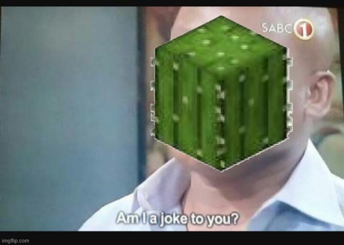 Am I a joke to you? | image tagged in am i a joke to you | made w/ Imgflip meme maker