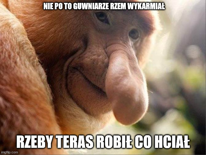 nosacz123 | NIE PO TO GUWNIARZE RZEM WYKARMIAŁ; RZEBY TERAS ROBIŁ CO HCIAŁ | image tagged in nosacz123 | made w/ Imgflip meme maker