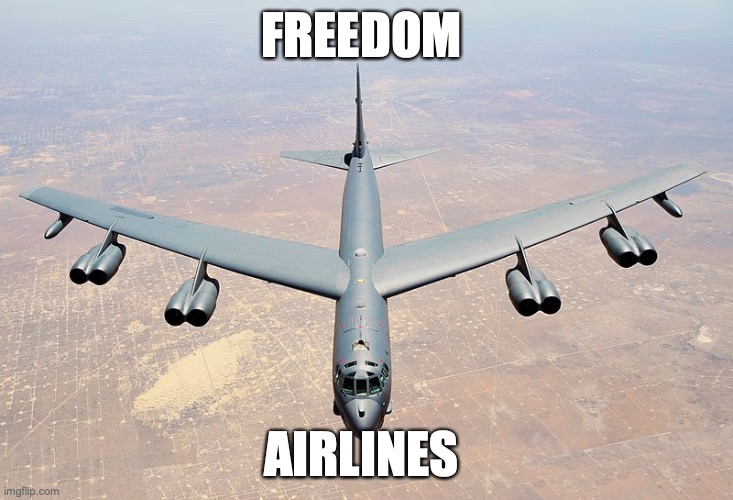 What a real American airline looks like | FREEDOM; AIRLINES | image tagged in based,america | made w/ Imgflip meme maker