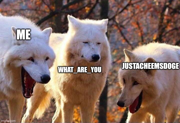 Laughing wolf | ME WHAT_ARE_YOU JUSTACHEEMSDOGE | image tagged in laughing wolf | made w/ Imgflip meme maker