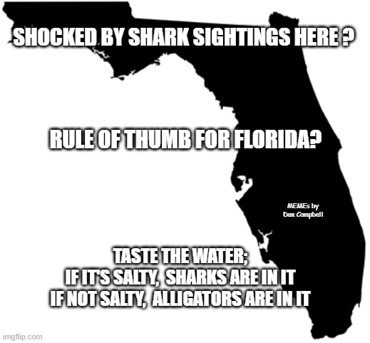 Florida | SHOCKED BY SHARK SIGHTINGS HERE ? RULE OF THUMB FOR FLORIDA? MEMEs by Dan Campbell; TASTE THE WATER;
IF IT'S SALTY,  SHARKS ARE IN IT
IF NOT SALTY,  ALLIGATORS ARE IN IT | image tagged in florida | made w/ Imgflip meme maker