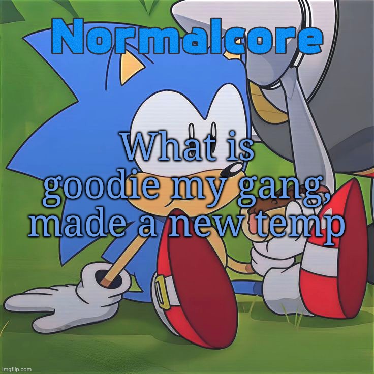 Random Sonic Template (REMAKE) | What is goodie my gang, made a new temp | image tagged in random sonic template remake | made w/ Imgflip meme maker