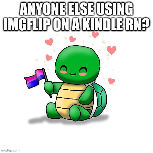 TDYM bi turtle | ANYONE ELSE USING IMGFLIP ON A KINDLE RN? | image tagged in tdym bi turtle | made w/ Imgflip meme maker