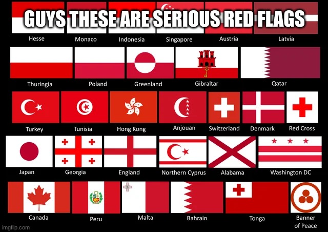 Big red flags | GUYS THESE ARE SERIOUS RED FLAGS | image tagged in flags,vexillology,skittel_,red flags,relationships,run for your life | made w/ Imgflip meme maker