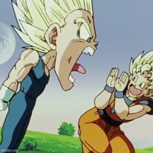Vegeta yelling at Goku | image tagged in vegeta yelling at goku | made w/ Imgflip meme maker