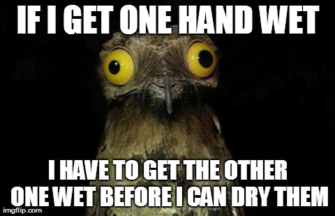 Wierd stuff I do potoo | IF I GET ONE HAND WET I HAVE TO GET THE OTHER ONE WET BEFORE I CAN DRY THEM | image tagged in wierd stuff i do potoo | made w/ Imgflip meme maker