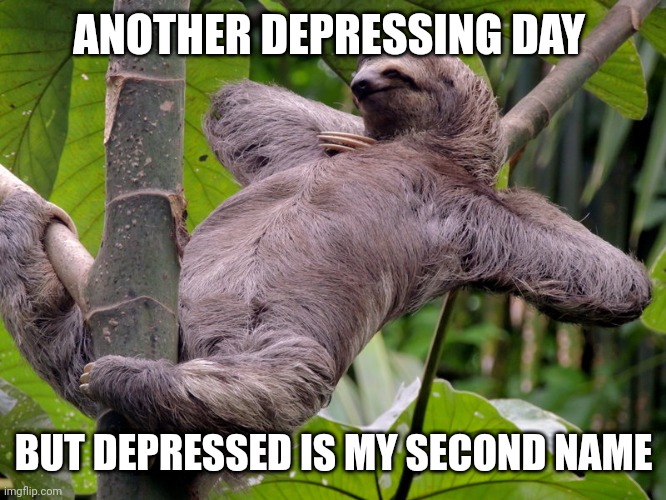 Lazy Sloth | ANOTHER DEPRESSING DAY; BUT DEPRESSED IS MY SECOND NAME | image tagged in lazy sloth | made w/ Imgflip meme maker