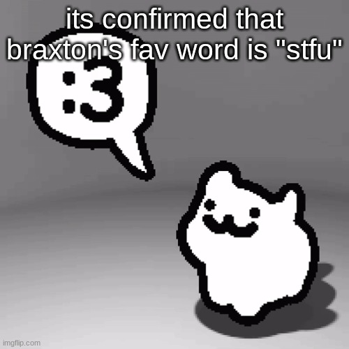 :3 cat | its confirmed that braxton's fav word is "stfu" | image tagged in 3 cat | made w/ Imgflip meme maker