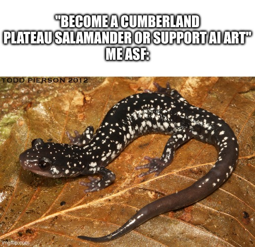 SALAMANDER AAAAAAAAAAAAAIII | "BECOME A CUMBERLAND PLATEAU SALAMANDER OR SUPPORT AI ART"
ME ASF: | image tagged in e | made w/ Imgflip meme maker