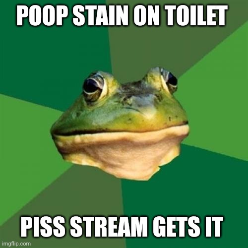 Admit it | POOP STAIN ON TOILET; PISS STREAM GETS IT | image tagged in memes,foul bachelor frog | made w/ Imgflip meme maker