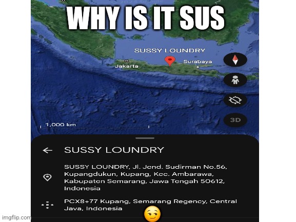 Sussy | WHY IS IT SUS; 😏 | image tagged in blank white template | made w/ Imgflip meme maker