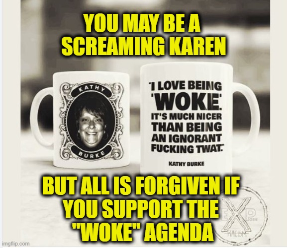 woke = sanctimonious | YOU MAY BE A
 SCREAMING KAREN; BUT ALL IS FORGIVEN IF
YOU SUPPORT THE
 "WOKE" AGENDA | image tagged in virtue signalling | made w/ Imgflip meme maker