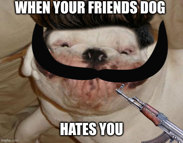 bad dog | WHEN YOUR FRIENDS DOG; HATES YOU | image tagged in ugly dog | made w/ Imgflip meme maker